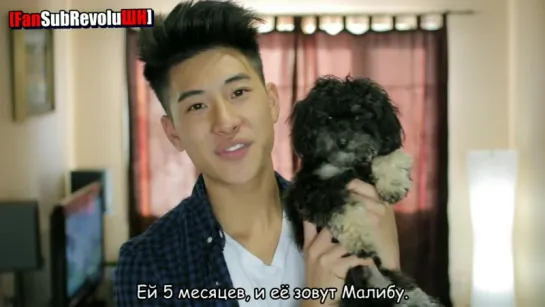 [RUS] My New Puppy | НОВЕНЬКИЙ ЩЕНОЧЕК | JeffreyFever