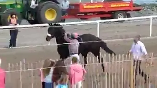 Rodeo at Laytown Races 2014.