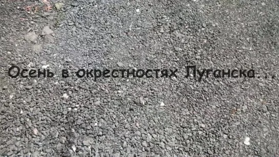 Осень в окрестностях Луганска