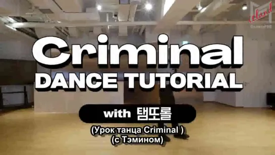 ‘Criminal’ Dance Tutorial with 탬또롤 l TAEMIN 태민(Перевод)