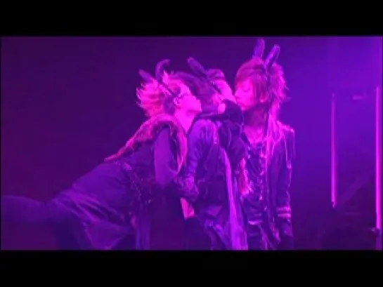 BREAKERZ TOUR GO 2011 BUNNY LOVE