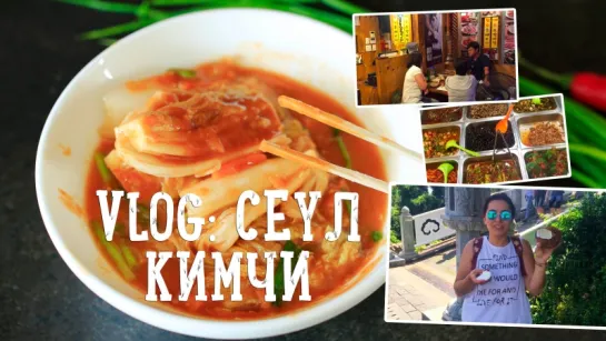 Vlog из Южной Кореи. Кимчи. [Рецепты Bon Appetit]