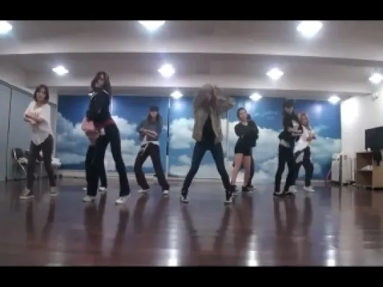 Girls' Generation (SNSD) - The Boys Official Dance Version Отражен.вер.