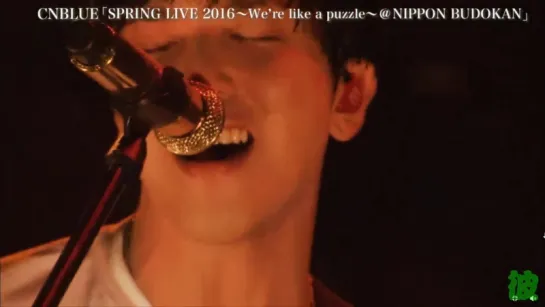 CNBLUE 2016 Were like a puzzle @NIPPON BUDOKAN (In My Head and Radio)