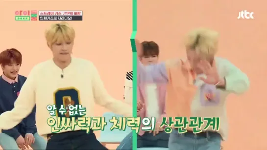 [190326] Stray Kids » excerpt » Idol Room