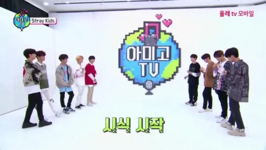 [180622] Stray Kids » Amigo TV EP.3