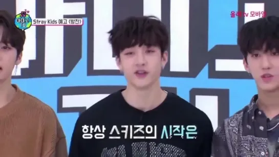 [180616] Stray Kids » Chan » individual teaser (Amigo TV)