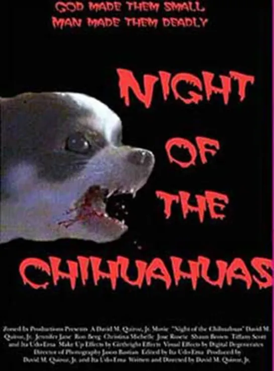 Night of the Chihuahuas (2004)