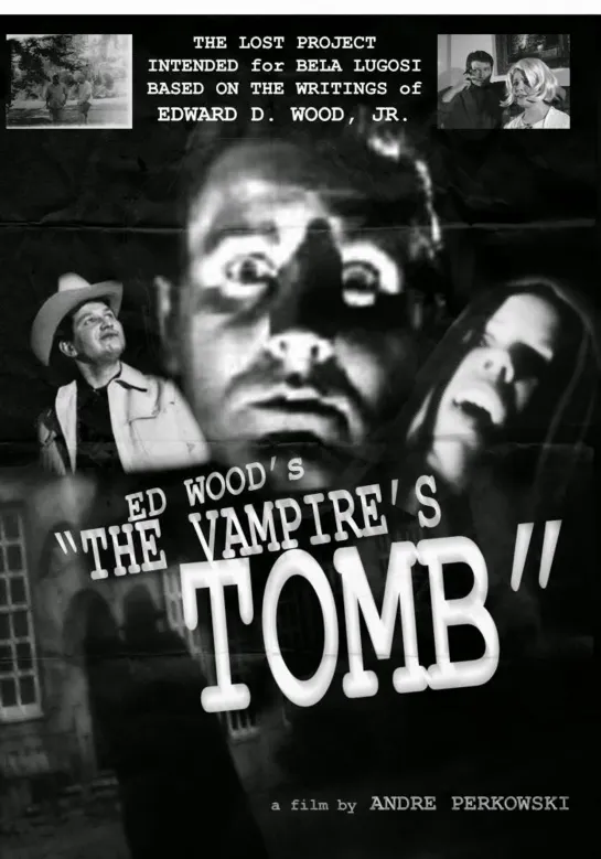 The Vampires Tomb (2013)