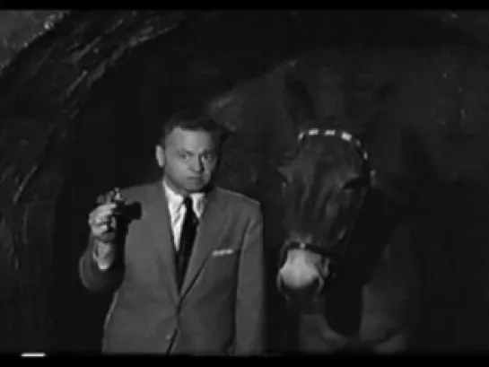 Francis in the Haunted House (1956)