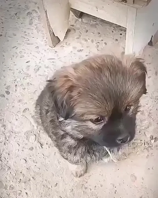 "Оказывается.., всё совсем не так, как я думал, всё, оказывается, иначе...?..."  😮 💞 😊 🙏