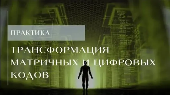 «Трансформация матричных и цифровых кодов». Краткий экскурс сеанса.  Евгения Гинзбург