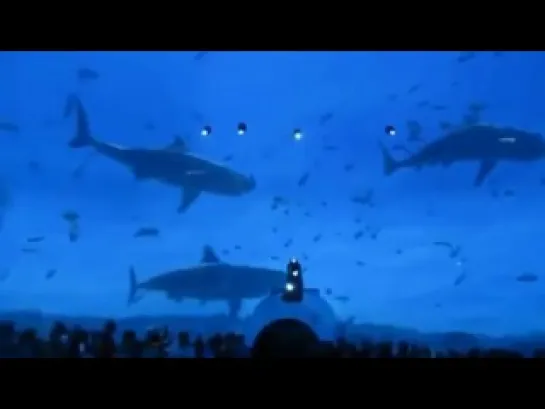 This is 7D Cinema Show Live in Dubai