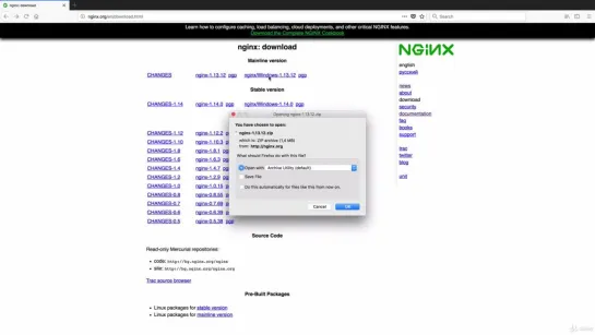 02-05 Nginx for Windows