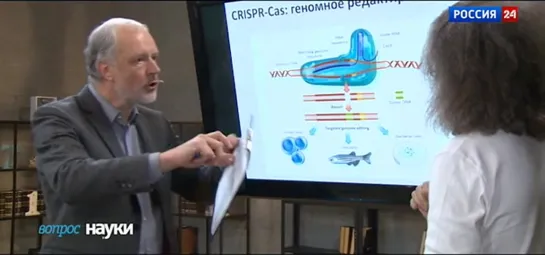 039 Вопросы науки - ДНК работа над ошибками [2015]