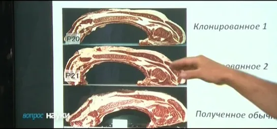 012 Вопросы науки - Клонирование [2015]