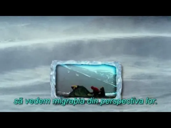 To the Arctic 3D (2012) english