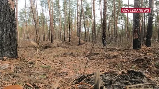 Видео от Вежливые Люди / Армия / Россия / СВО