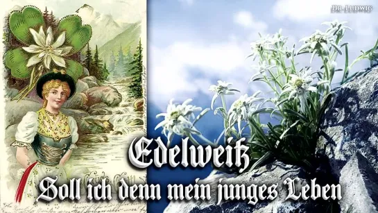 "Edelweiß".