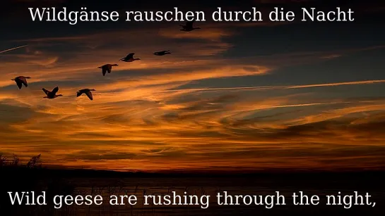 "Wildgänse rauschen durch die Nacht".