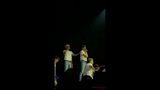 180916 LYS Tour in Fort Worth Day 2 | Anpanman | TaeKook moment