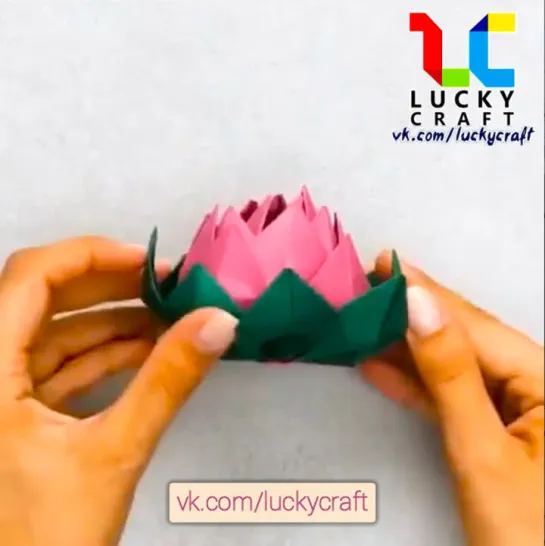 Цветок лотоса 🌸 vk.com/luckycraft – подпишись!