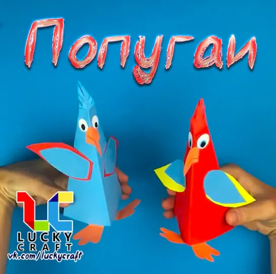 Попугаи ☺ vk.com/luckycraft – подпишись!