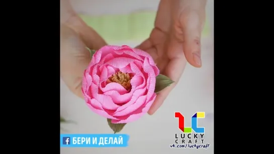 Красивые пионы из бумаги своими руками 🌸 vk.com/luckycraft – подпишись.