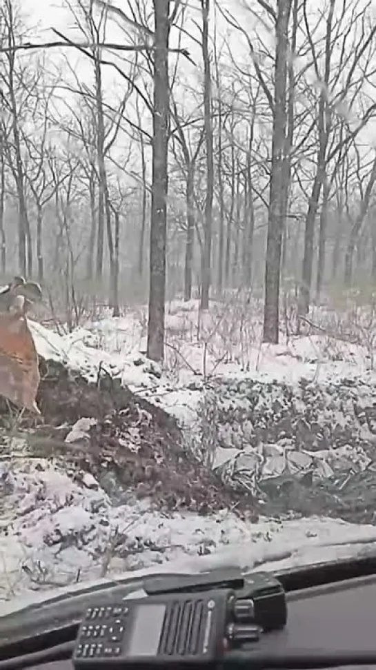 Видео со стороны противника.