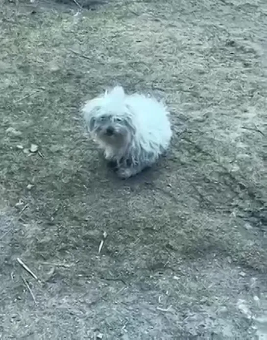 Видео от Видео Долбоёба