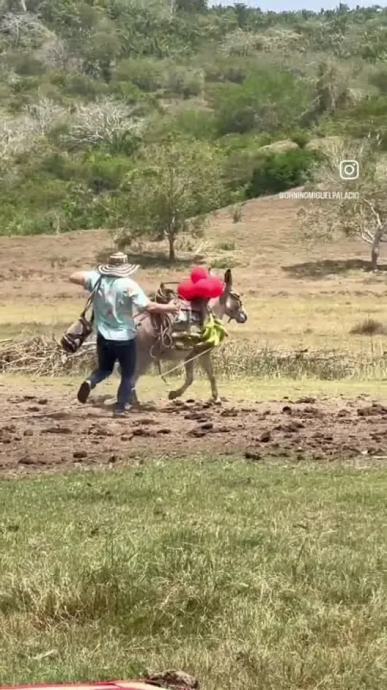 Видео от Видео Долбоёба