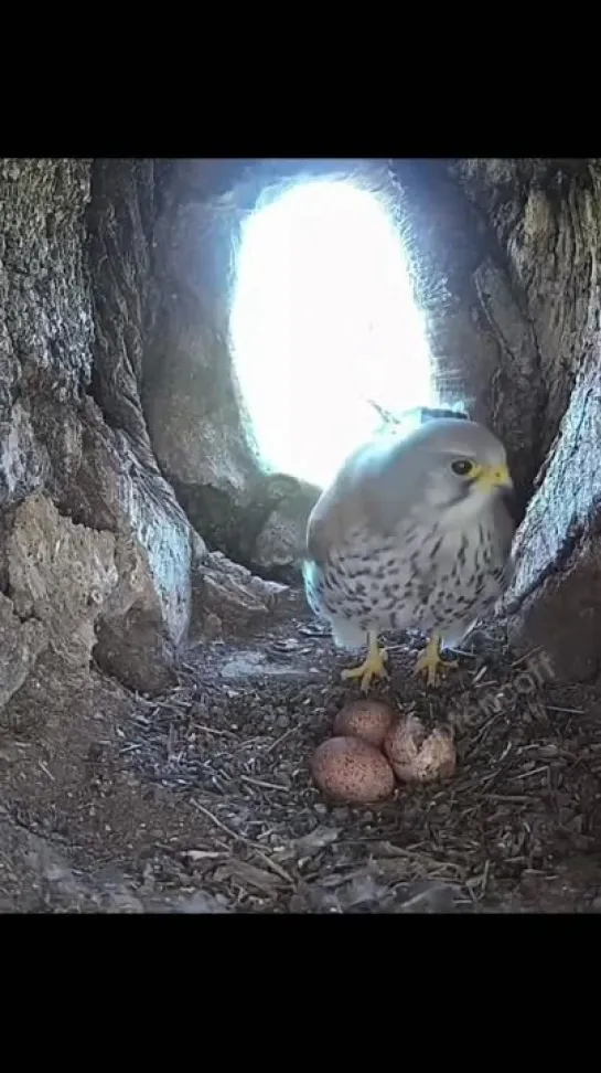 Видео от Видео Долбоёба