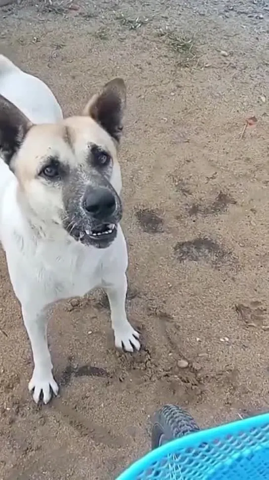 Видео от Видео Долбоёба