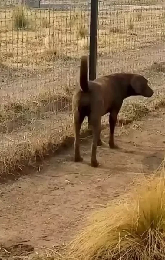 Видео от Видео Долбоёба