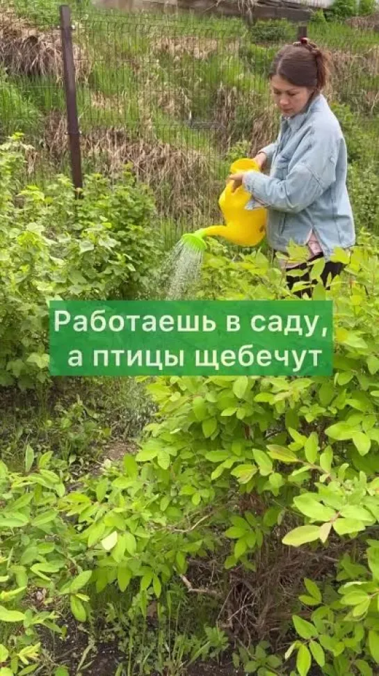 Видео от САДОВОДЫ И ОГОРОДНИКИ -_- СОВЕТЫ