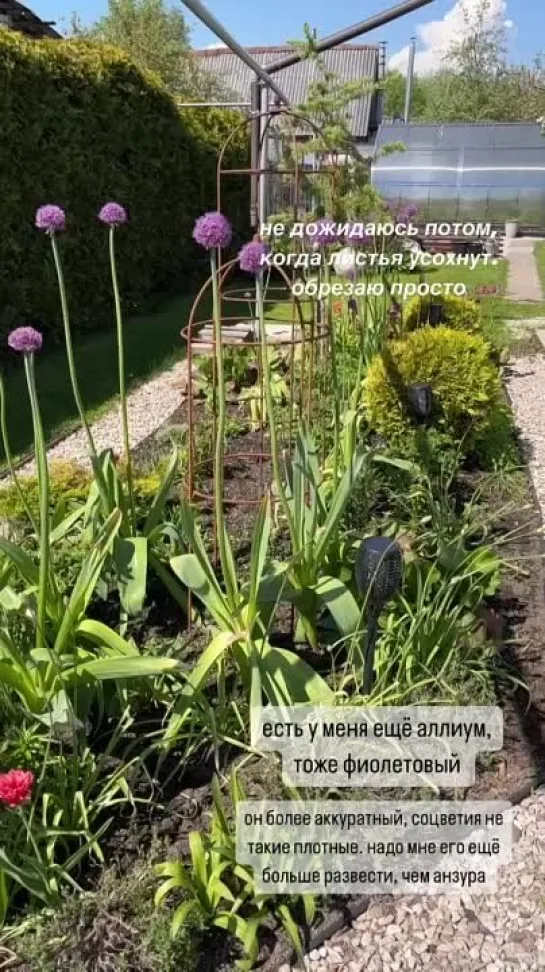 Видео от САДОВОДЫ И ОГОРОДНИКИ -_- СОВЕТЫ