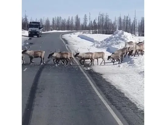 Видео от Авто Эксперт