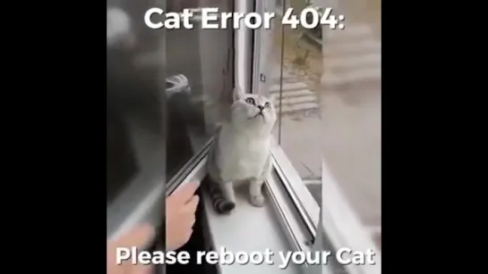 Cat error 404