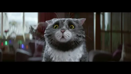 Sainsbury’s OFFICIAL Christmas Advert 2015 – Mog’s Christmas Calamity