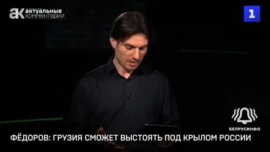 Депутат назвал условия выживания Грузии