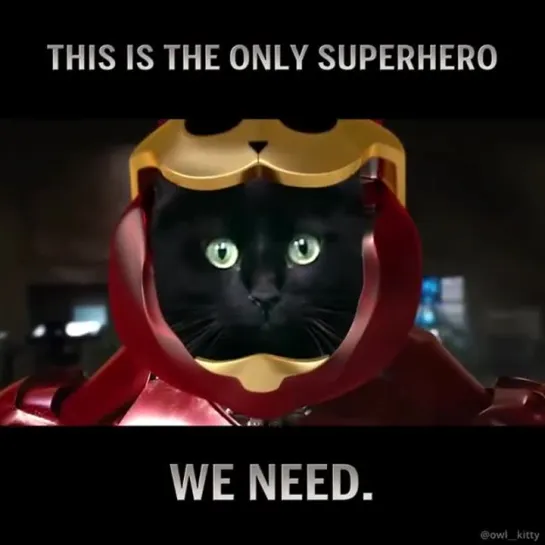 Iron Cat