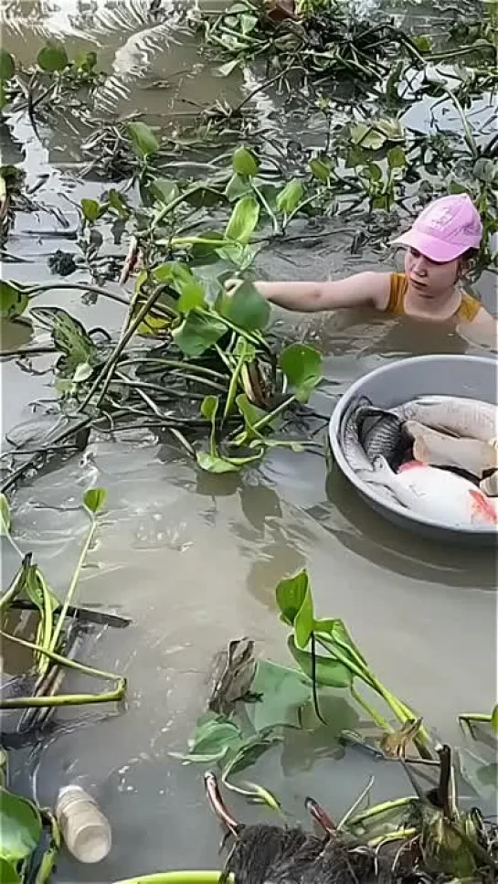 Видео от Удивительный мир