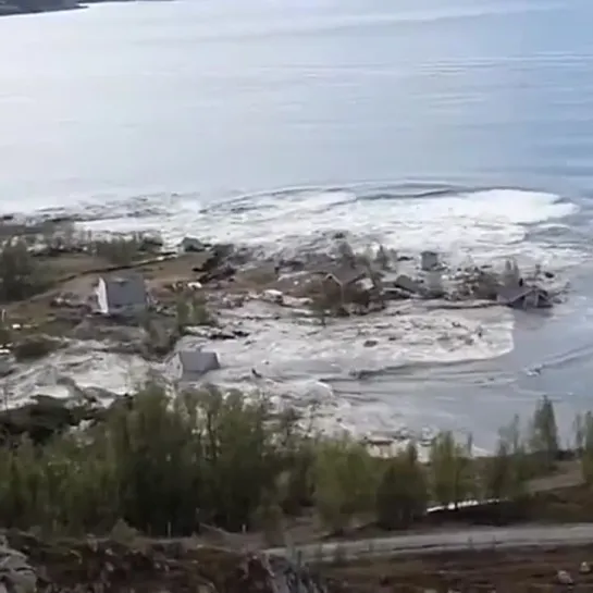 Видео от Живая планета