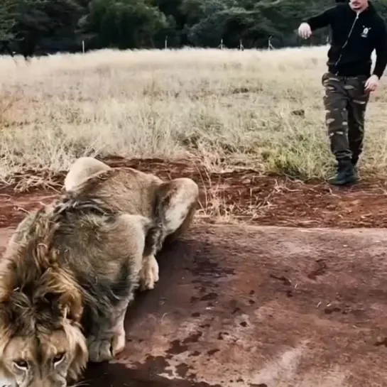 Видео от Неожидашки