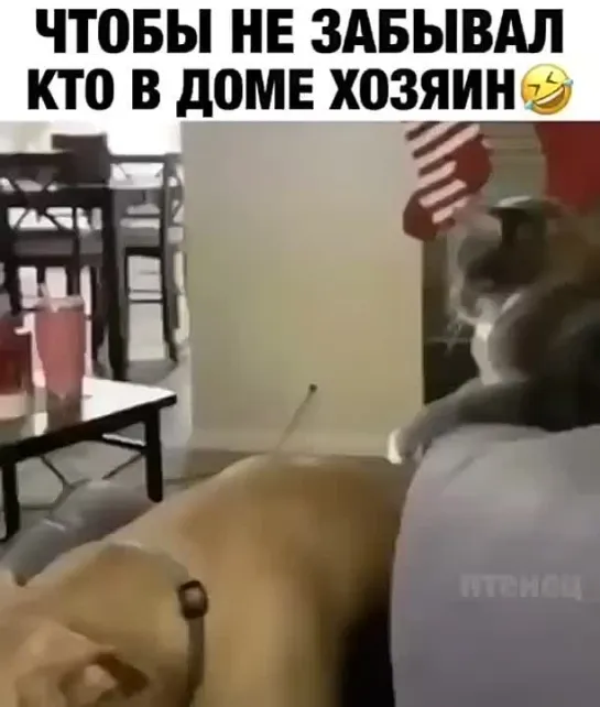 Видео от Людмилы Киясь