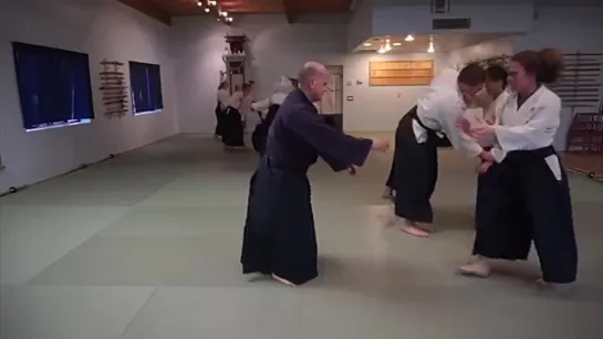 Aikido_ Jiyu Waza