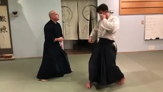 Aikido_ Filling in the Blanks - Kihon Waza to Jiyu Waza Training and Drilling (1)