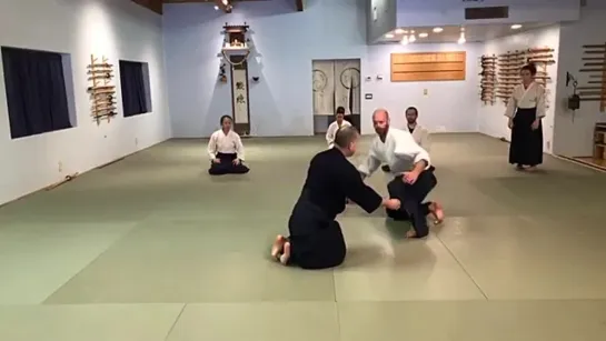 Aikido_ Center to Center Force Vectoring (Kote-Gaeshi)