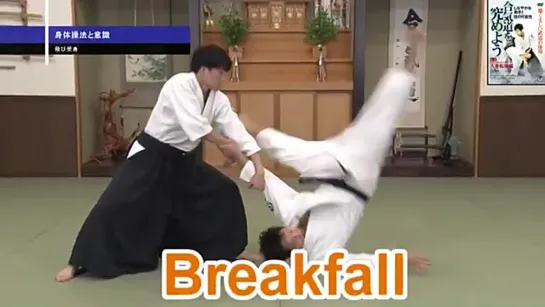 Aikido - Lets improve your UKEMI！Shirakawa Ryuji shihan