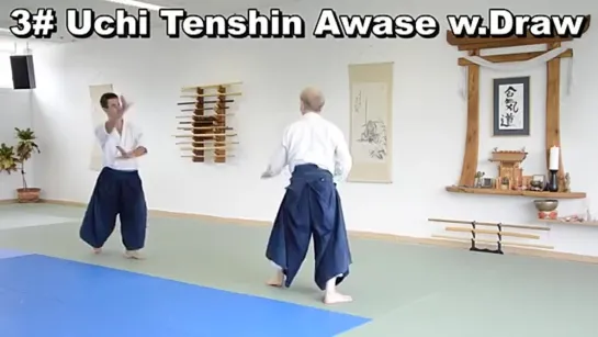 [Aikido Techniques] 22 Yokomen Uchi Entries w. Sensei Patrick Cassidy (6th Dan)